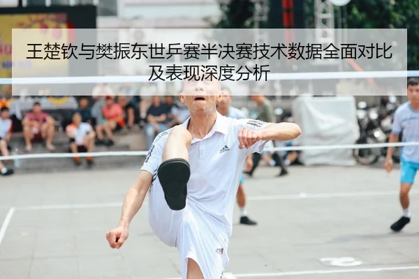 王楚钦与樊振东世乒赛半决赛技术数据全面对比及表现深度分析